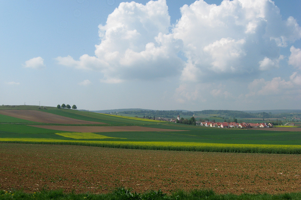Neuigkeiten aus der Mühle