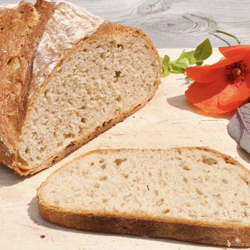 Brot