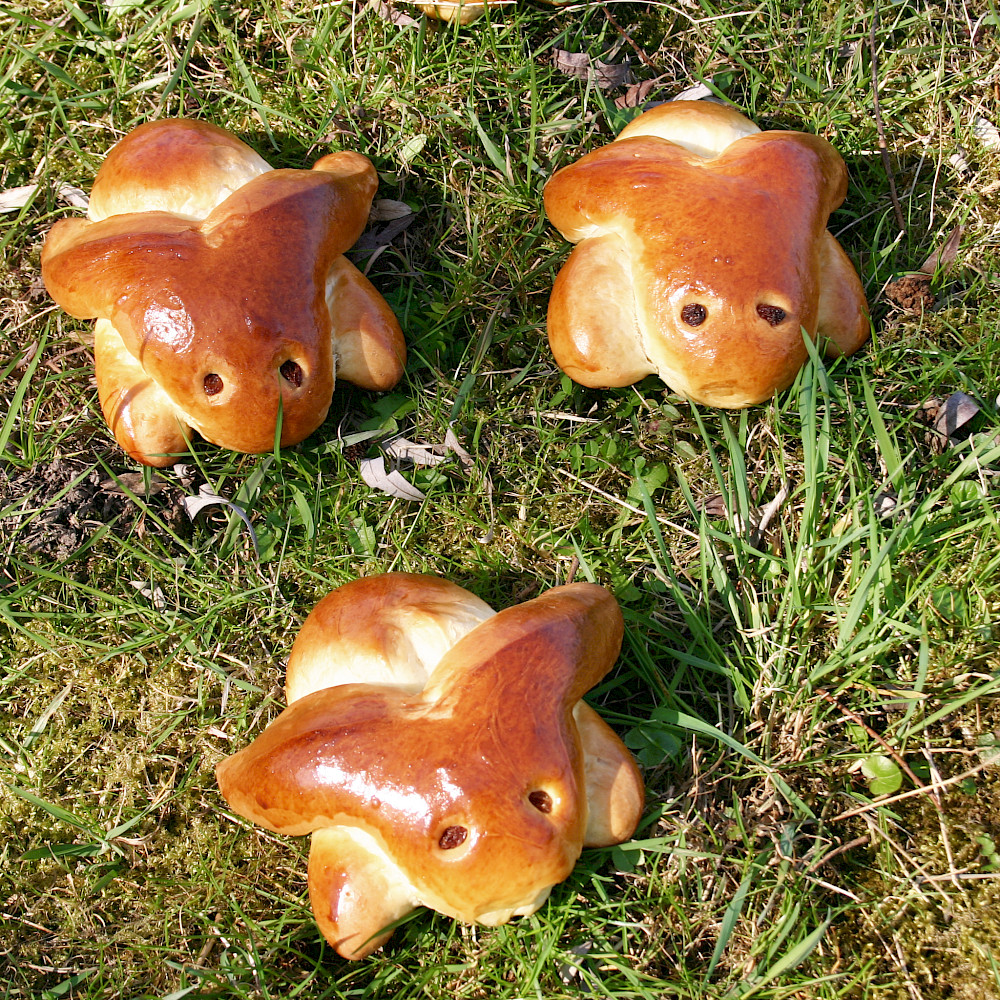 Hefe-Psterhasen