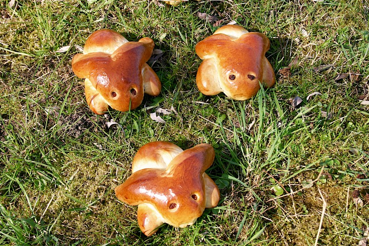 Hefe-Psterhasen