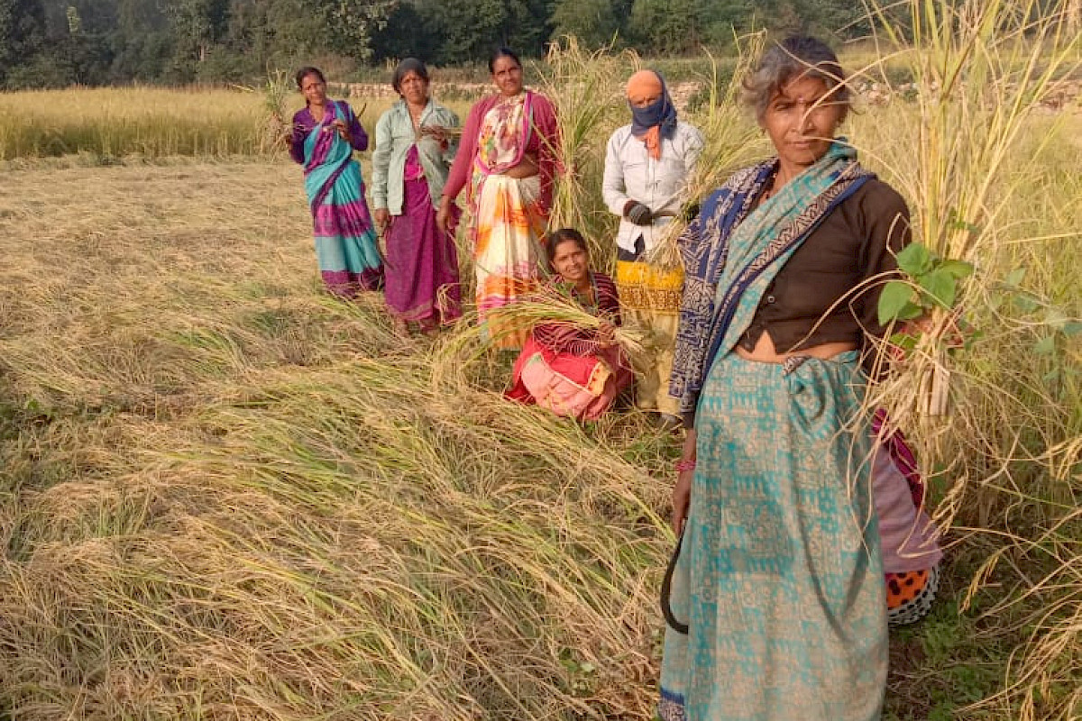 Reisbäuerinnen in Indien