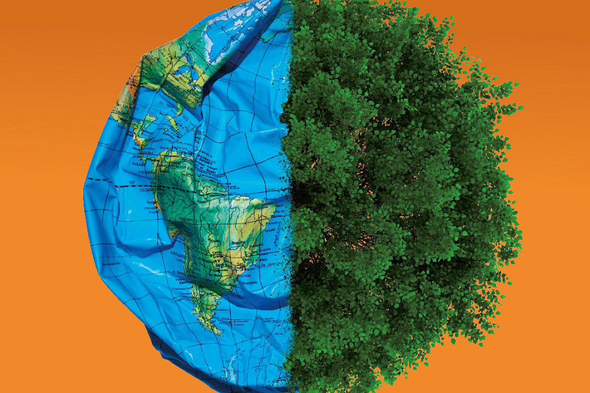 Es geht um alles. Plastikwelt vs Waldwelt